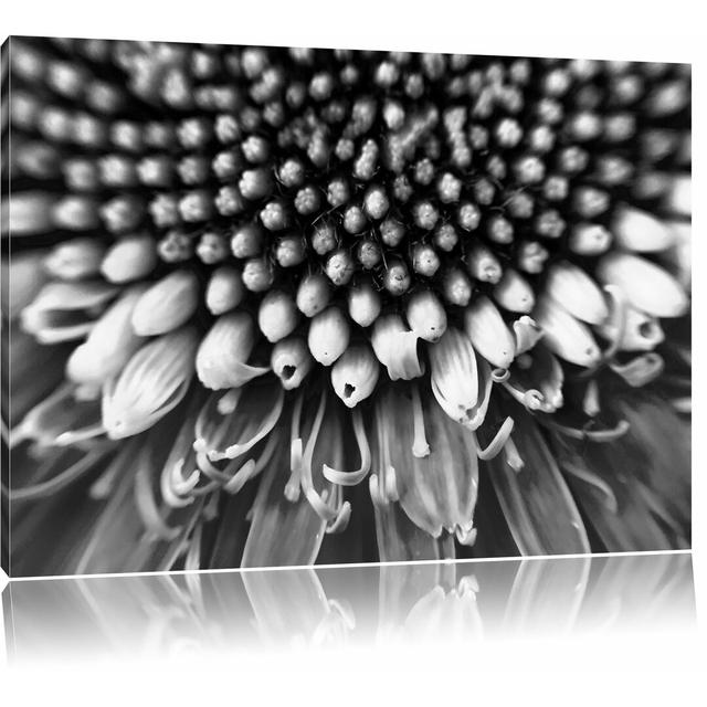 Leinwandbild „Nahaufnahme einer Gerbera“, Fotodruck East Urban Home Größe: 70 cm H x 100 cm B on Productcaster.