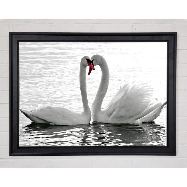 White Swans 2 Framed Print Latitude Run Size: 84.1cm H x 118.9cm W x 1.5cm D, Format: Matte Black Framed Paper on Productcaster.