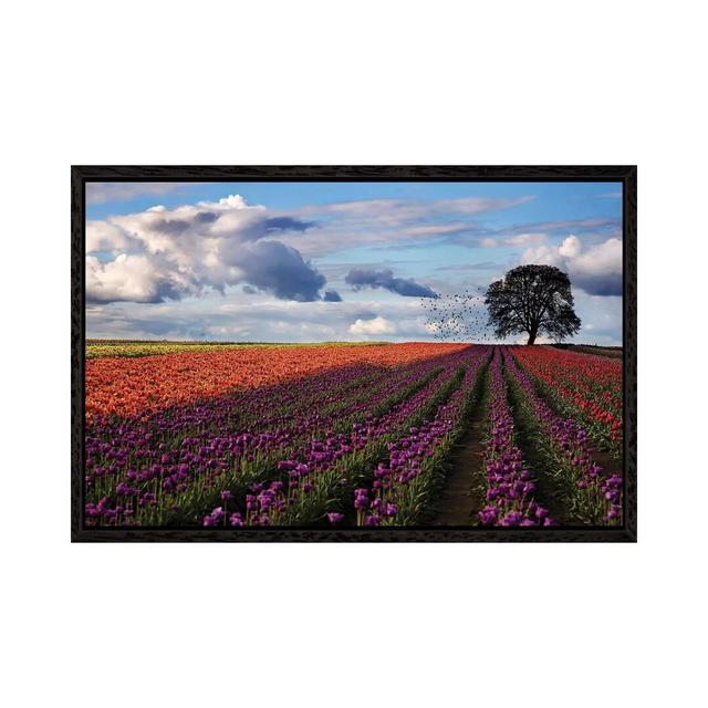 Tulip Festival - Photograph Print on Canvas Ebern Designs Size: 45.72cm H x 66.04cm W x 3.81cm D, Format: Black Framed on Productcaster.