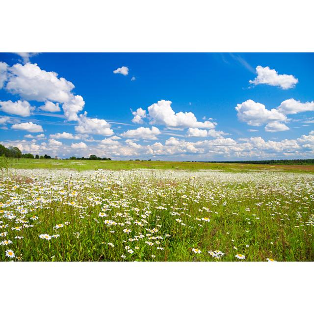 Leeara Meadow by Yanikap - Wrapped Canvas Print 17 Stories Size: 81cm H x 122cm W x 3.8cm D on Productcaster.