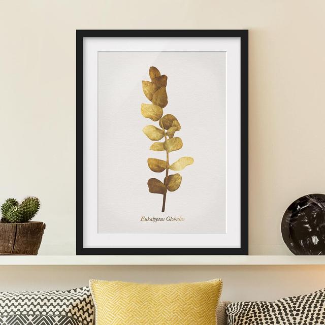 Gold - Eucalyptus - Picture Frame Graphic Art Mercer41 Frame Option: Black Framed, Size: 40cm H x 30cm W x 2cm D on Productcaster.