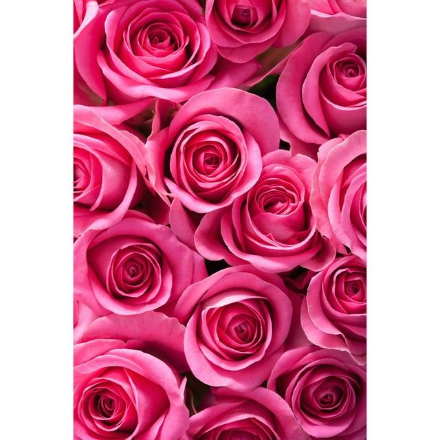 Beautiful Pink Rose Flowers Background by Olgamiltsova - Wrapped Canvas Photograph Canora Grey Size: 76.2cm H x 50.8cm W on Productcaster.