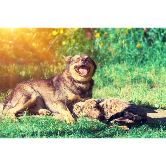 Dog And Cat Best Friends by Vvvita - Wrapped Canvas Print 17 Stories Size: 81cm H x 122cm W on Productcaster.