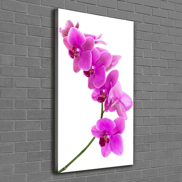 Pink Orchid - Wrapped Canvas Art Prints Ebern Designs on Productcaster.