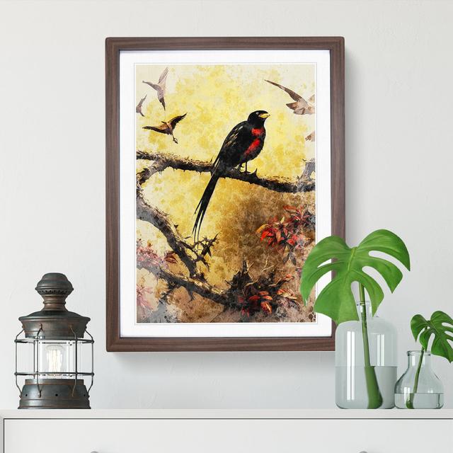 Vintage Bird No.2 - Picture Frame Graphic Art Marlow Home Co. Size: 64cm H x 46cm W, Frame Colour: Walnut on Productcaster.