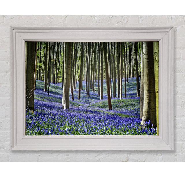 Stunning Beautiful Lilac Woodland Walk - Single Picture Frame Art Prints Union Rustic Size: 29.7cm H x 42cm W x 8cm on Productcaster.