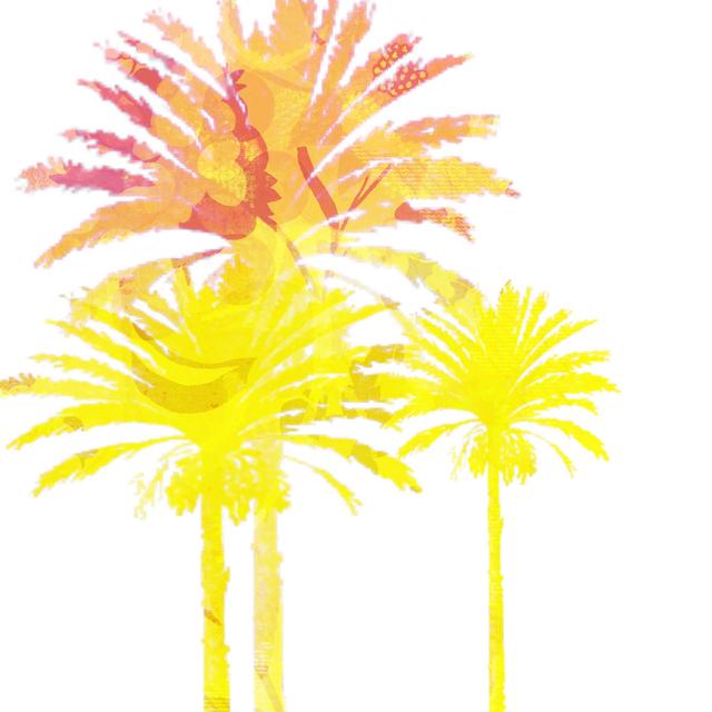 Sunny Palm II by Ricki Mountain - Wrapped Canvas Print Marlow Home Co. Size: 30cm H x 30cm W x 3.8cm D on Productcaster.