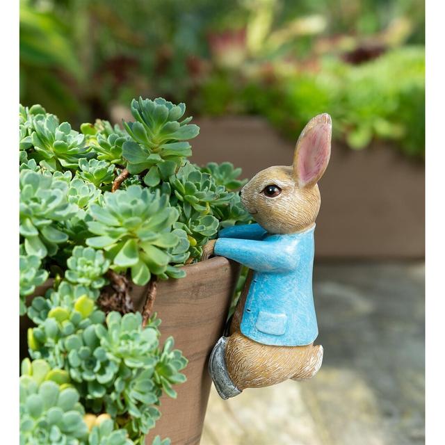 Deepa Beatrix Potter Peter Rabbit Hanging Pot Hanger Ornament Maturi on Productcaster.