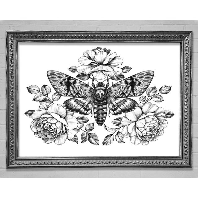 Death Head Moth - Single Picture Frame Art Prints Bright Star Size: 21cm H x 29.7cm W on Productcaster.