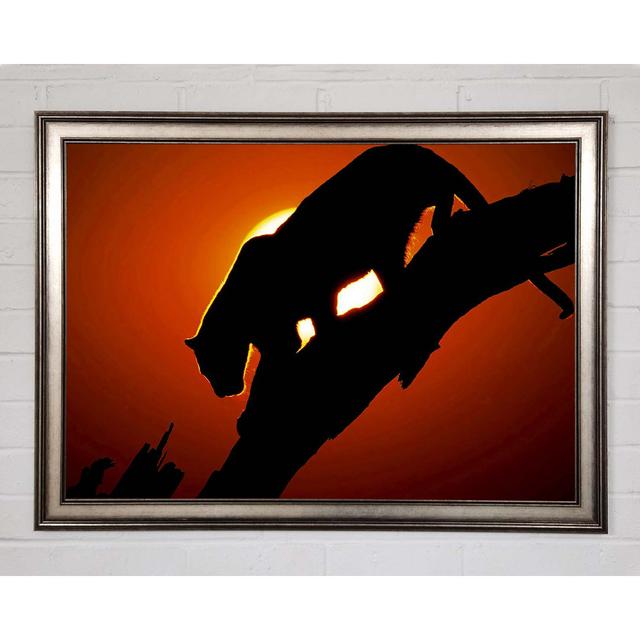 Big Cat In Sunlight Framed Print Wall Art Latitude Run Size: 59.7cm H x 84.1cm W x 1.5cm D, Format: Matte Black Framed Paper on Productcaster.