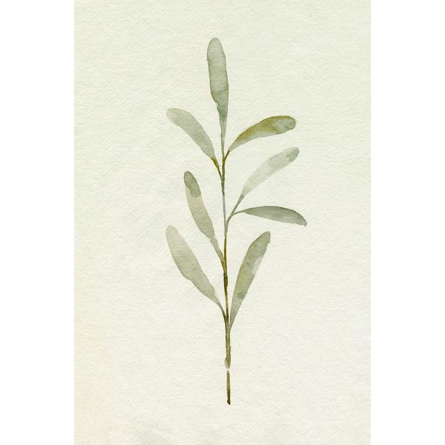 Olive Leaves III - Unframed Painting Rosalind Wheeler Size: 46cm H x 30cm W x 3.8cm D on Productcaster.