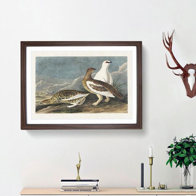 Roock Grouse by John Audubon - Picture Frame Painting Print East Urban Home Frame Option: Walnut Framed, Size: 36cm H x 48cm W x 2cm D on Productcaster.