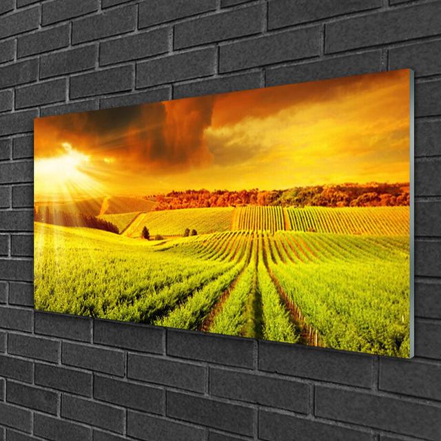 Glass Print Wall Art 100X50cm Image Printed On Glass Decorative Wall Picture Behind Toughened / Tempered Safety Real Glass For Kitchen & Living Room T on Productcaster.