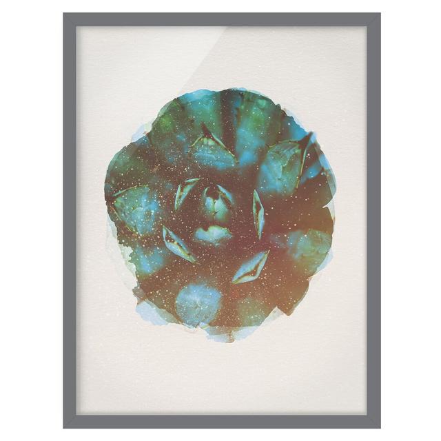 Blue Agave - Picture Frame Graphic Art Bay Isle Home Frame Option: Grey Framed, Size: 70cm H x 50cm W x 2cm D on Productcaster.