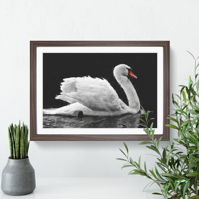 White Swan Vol.5 - Picture Frame Painting East Urban Home Frame Option: Walnut Framed, Size: 27cm H x 36cm W x 2cm D on Productcaster.