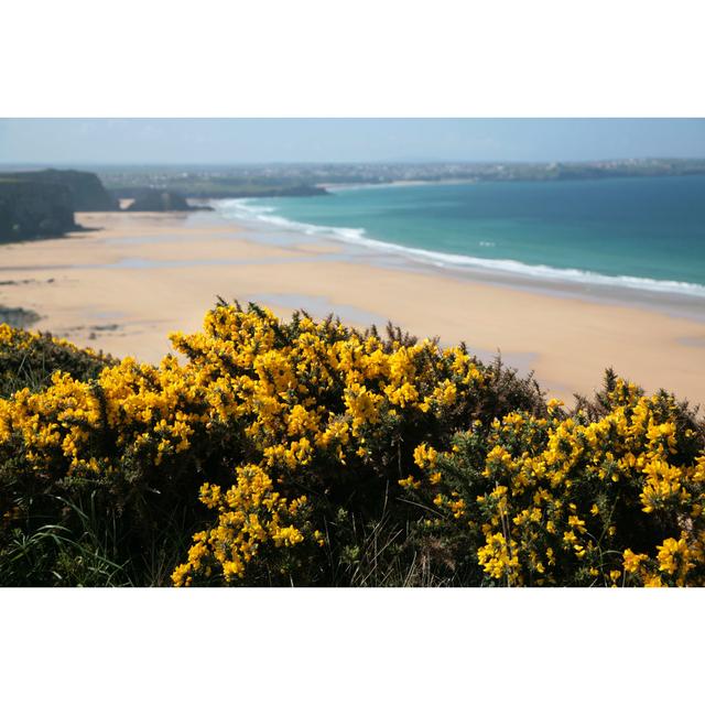 Watergate Bay surfgatinhoBlue; White; Yellowgreen; Grey; Beige; Powder Blue; Yellow;Green155229405 House of Hampton Size: 51cm H x 76cm W on Productcaster.