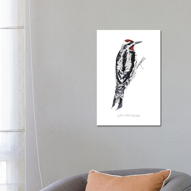 Watercolor Woodpecker I by Grace Popp - Gallery-Wrapped Canvas Giclée on Canvas Ebern Designs Size: 66.04cm H x 45.72cm W x 1.905cm D, Format: No Fram on Productcaster.