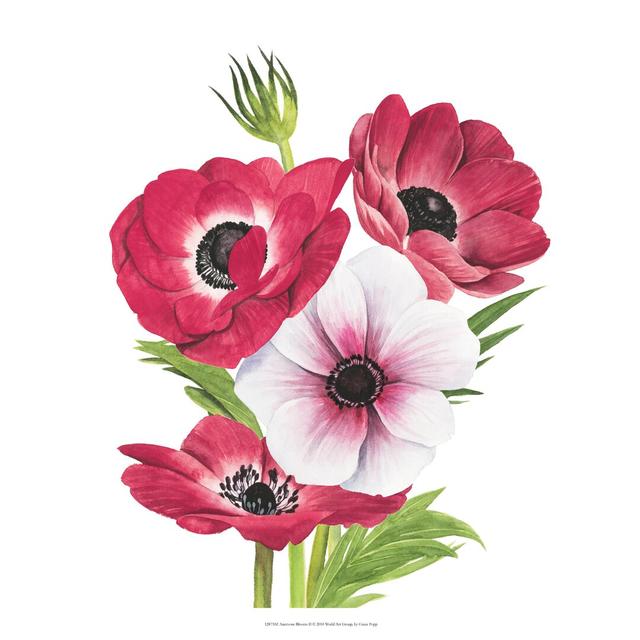 Anemone Blooms II by Grace Popp - Wrapped Canvas Painting Rosalind Wheeler Size: 51cm H x 51cm W on Productcaster.