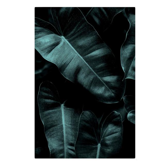 Dark Green Jungle Leaves by Boris Draschoff - Wrapped Canvas Graphic Art Bay Isle Home Size: 60cm H x 40cm W, Format: 330g/m² recycled canvas on Productcaster.