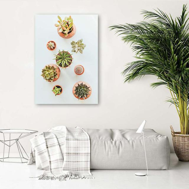 Leinwandbild Flowers Plants Nature Ebern Designs Größe: 60 cm H x 40 cm B x 2 cm T on Productcaster.