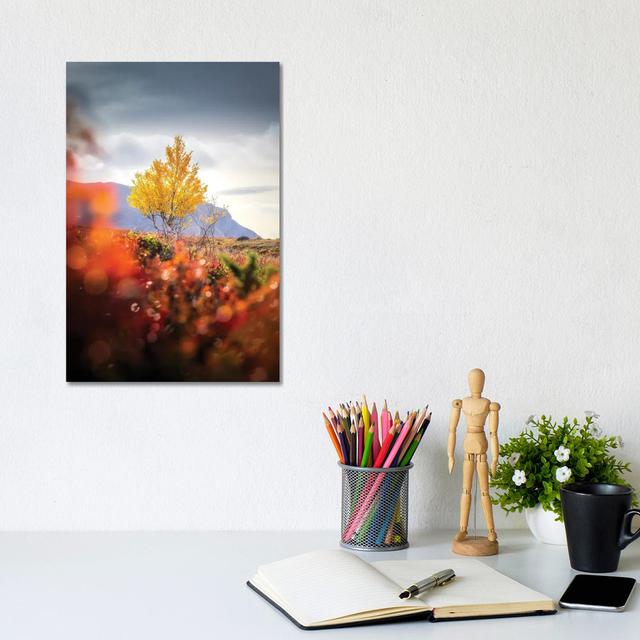 Lonely I by Lauri Lohi - Wrapped Canvas Photograph Latitude Run Size: 30.48cm H x 20.32cm W x 1.91cm D on Productcaster.