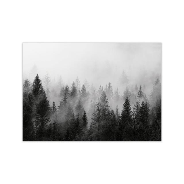 Forest - Print Alpen Home Frame Option: No Framed, Size: 30cm H x 21cm W x 1cm D on Productcaster.