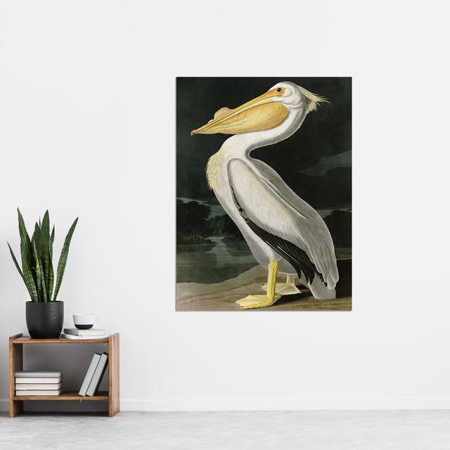 Audubon Birds White Pelican Painting Extra Large XL Wall Art Poster Print House of Hampton on Productcaster.