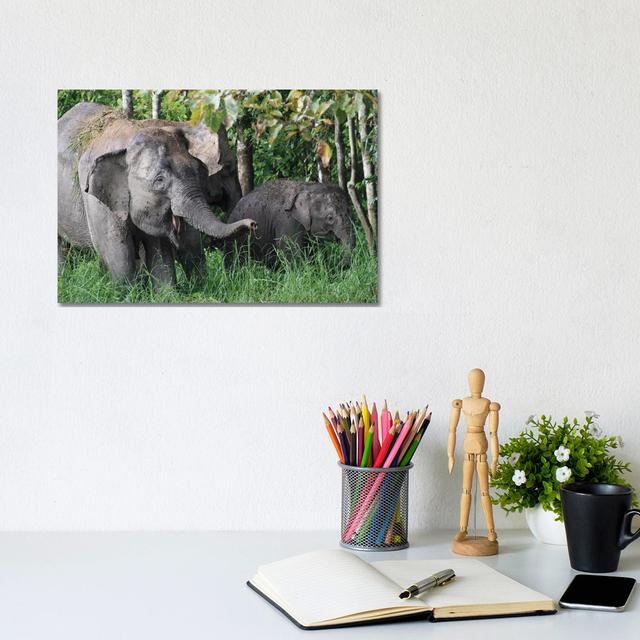 Asian Elephant Mother And Baby, Saba, Malaysia by Hiroya Minakuchi - Wrapped Canvas Print Latitude Vive Size: 20.32cm H x 30.48cm W x 1.91cm D on Productcaster.