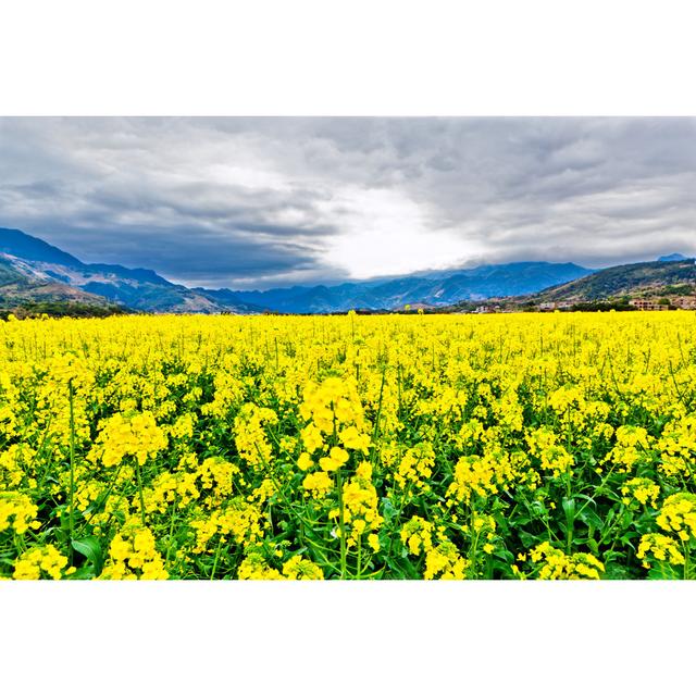 Canola Flowers Under Blue Sky by Fzant - No Frame Art Prints on Canvas 17 Stories Size: 61cm H x 91cm W on Productcaster.