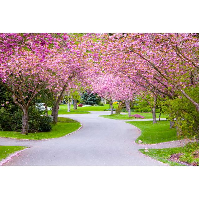 Beautiful Cherry Tree Lane by Hannamariah - Wrapped Canvas Photograph 17 Stories Size: 20cm H x 30cm W on Productcaster.