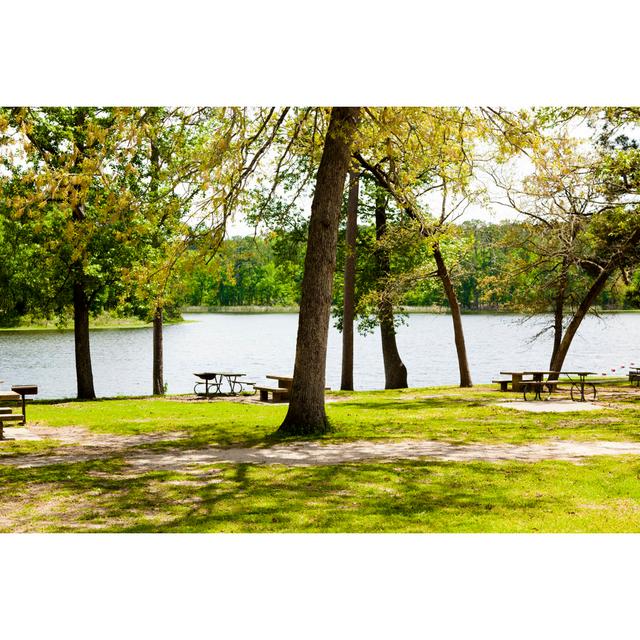 Spring Trees Surround A Lake. Park Picnic Tables At Bank. by Fstop123 - No Frame Set on Canvas 17 Stories Size: 60cm H x 90cm W on Productcaster.