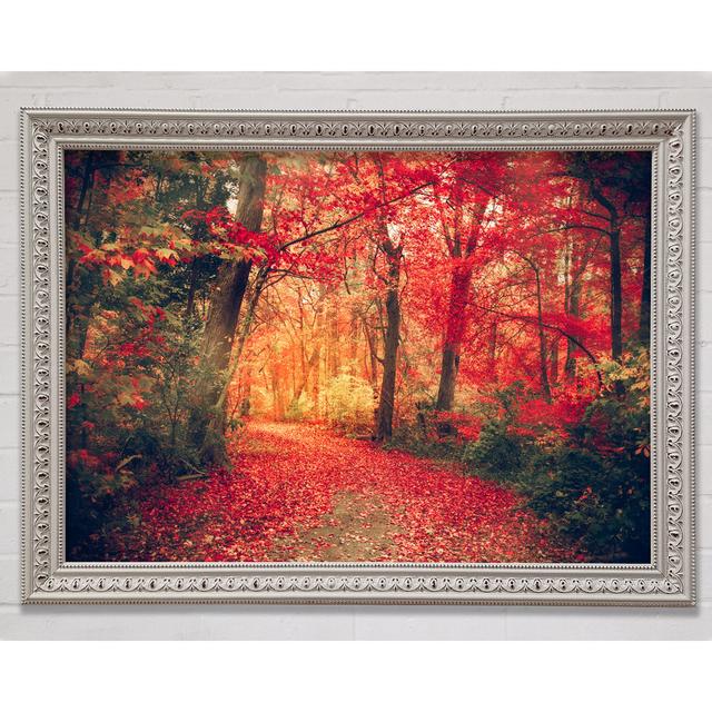 Red Tree Walk - Single Picture Frame Art Prints Bright Star Size: 59.7cm H x 84.1cm W x 3cm D on Productcaster.