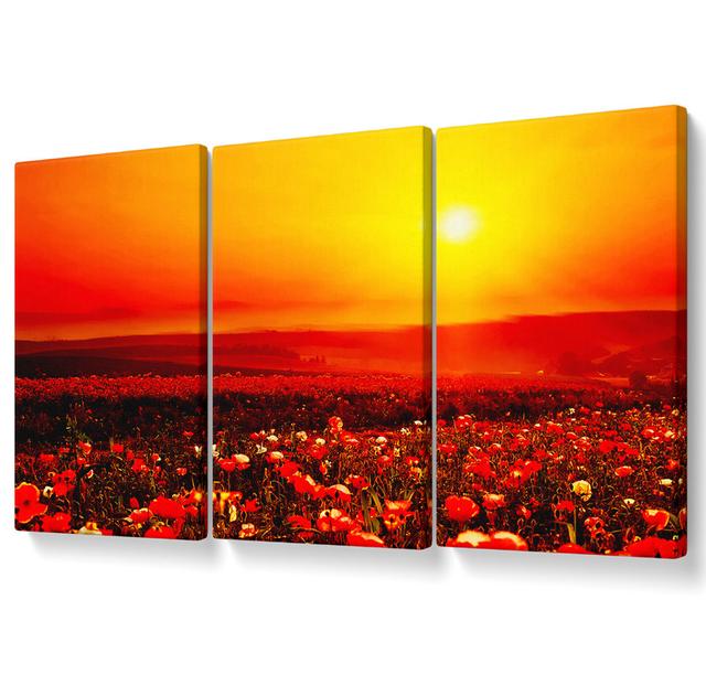 Poppy Field Mist - 3 Piece Wrapped Canvas Graphic Art Ebern Designs Size: 142.2cm H x 304.8cm W on Productcaster.