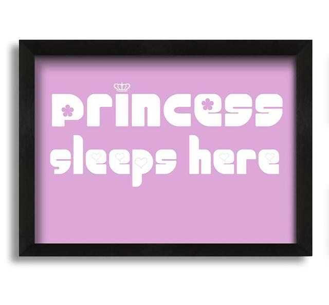 Farreli Princesss Sleeps Here 2 - Closed Corner Frame Typography Happy Larry Colour: Pink, Size: 21cm H x 30cm W x 10cm D, Format: Black Framed Canvas on Productcaster.