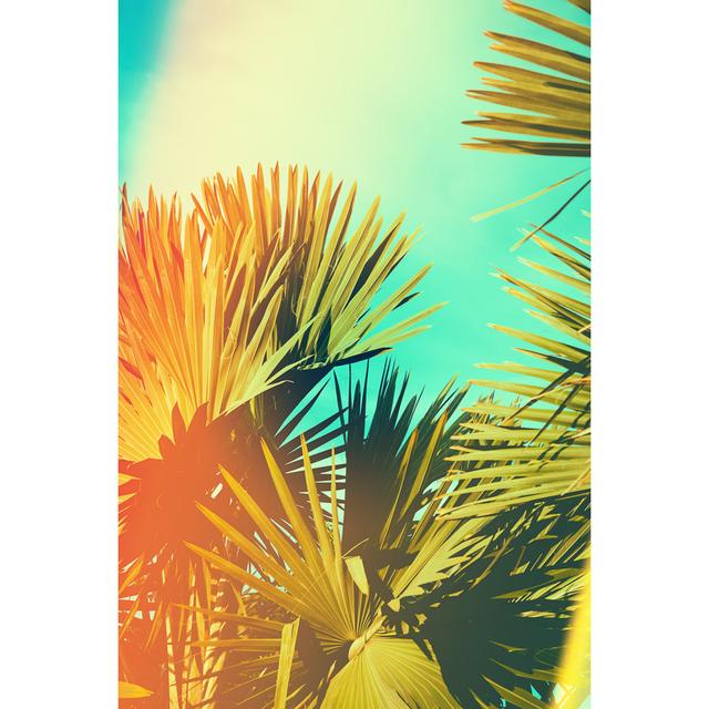 Palm Tree Retro Toned by Sk901 - Wrapped Canvas Print 17 Stories Size: 30cm H x 20cm W on Productcaster.