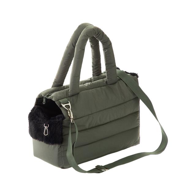 Garan Pet Carrier Rebrilliant Size: 24 H x 36 W x 17 D cm, Colour: Green on Productcaster.