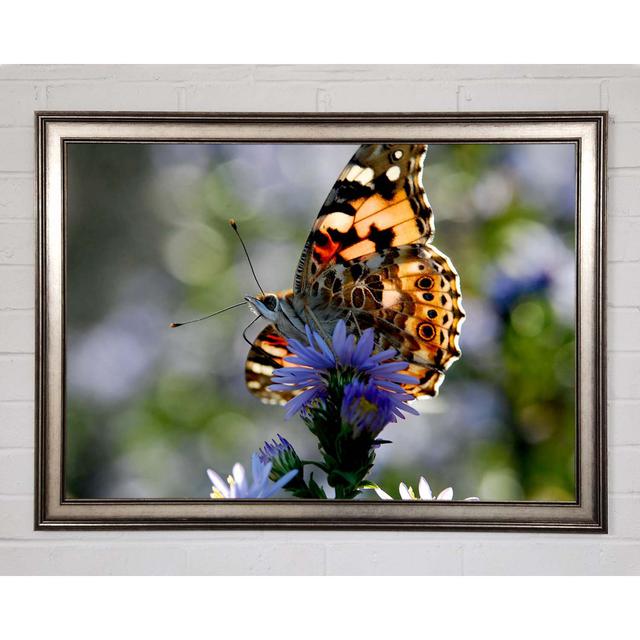 Appistoki Purple Flower Butterfly Framed Print Wall Art Brambly Cottage Size: 84.1cm H x 118.9cm W x 1.5cm D, Format: Natural Framed Paper on Productcaster.