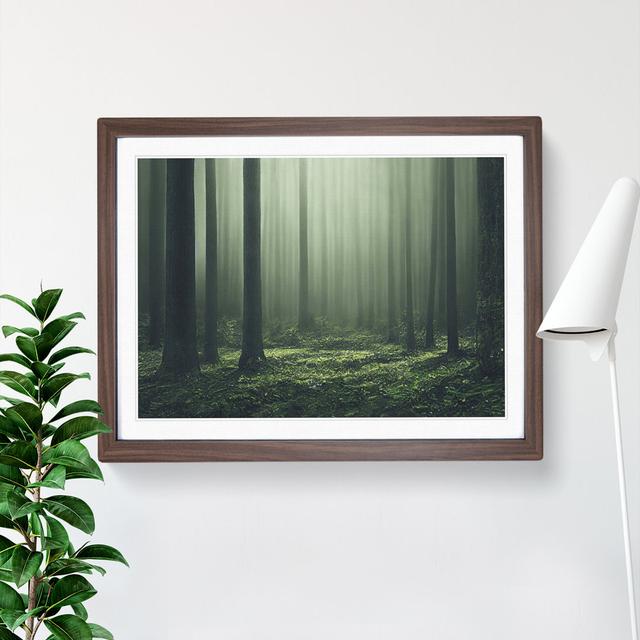 Creative Forest - Single Picture Frame Print Alpen Home Frame Colour: Walnut, Size: 25cm H x 34cm W x 2cm D on Productcaster.