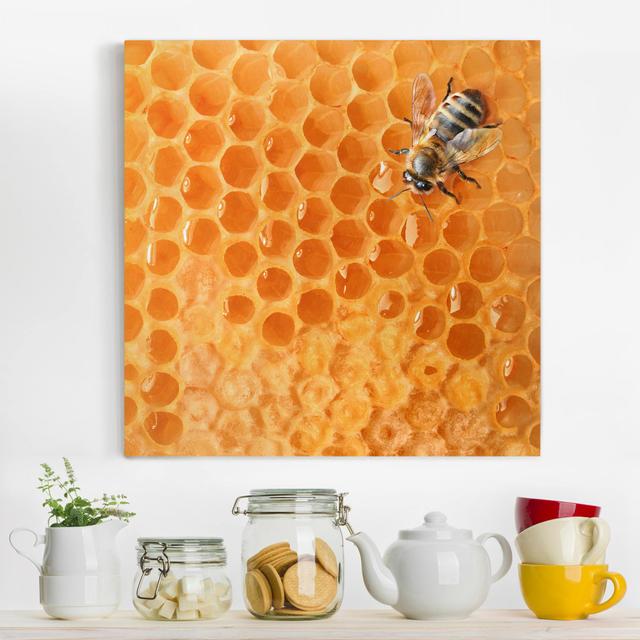 Leinwandbild Honey Bee East Urban Home Größe: 30 cm H x 30 cm B x 2 cm T on Productcaster.