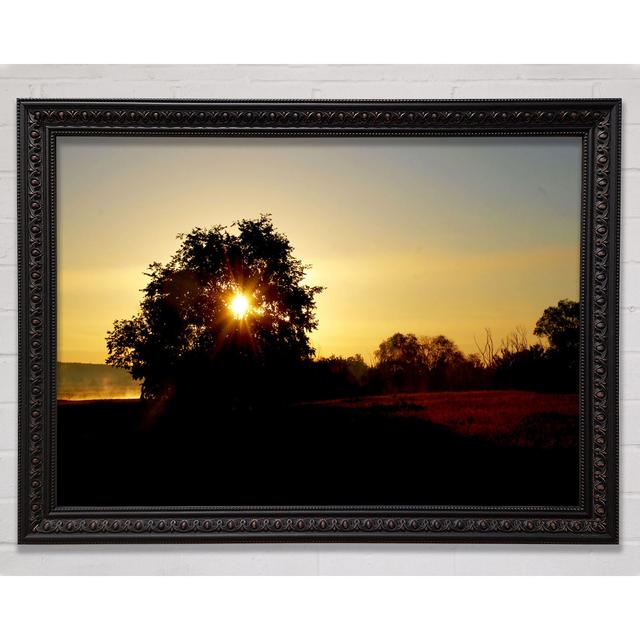 Sun Piercing Through The Tree - Single Picture Frame Art Prints Bright Star Size: 100cm H x 141.4cm W on Productcaster.