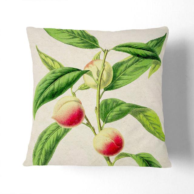 Illustration of Peaches Cushion with Filling East Urban Home Size: 40cm H x 40cm W x 15cm D, Backing Colour: Black on Productcaster.