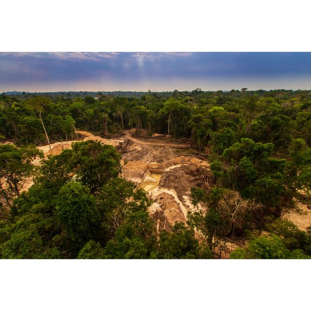 Amazon Rainforest by Marcio Isensee E Sa - Wrapped Canvas Print Union Rustic Size: 30cm H x 46cm W on Productcaster.