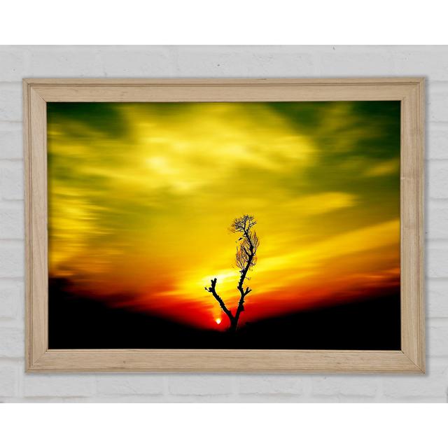 Stunning Sky Delight Framed Print Wall Art Ophelia & Co. Format: Natural Framed Paper, Size: 29.7cm H x 42cm W x 1.5cm D on Productcaster.