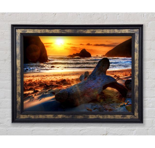 Driftwood At Sunset - Print Bright Star Size: 42cm H x 59.7cm W on Productcaster.