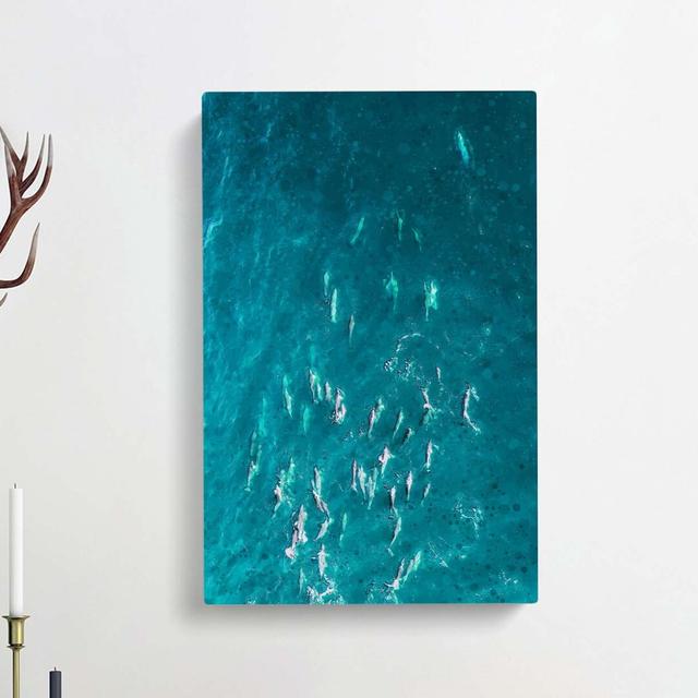 Many Dolphin in Abstract - Wrapped Canvas Graphic Art Print East Urban Home Size: 50cm H x 35cm W x 3cm D on Productcaster.