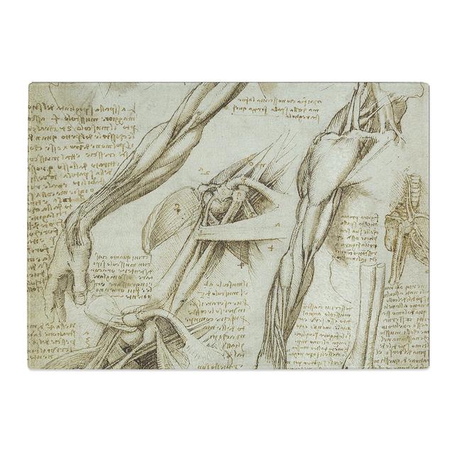 Human Anatomy Vol.1 by Leonardo Da Vinci Chopping Board East Urban Home Size: 0.4cm H x 20cm W x 28.5cm L on Productcaster.