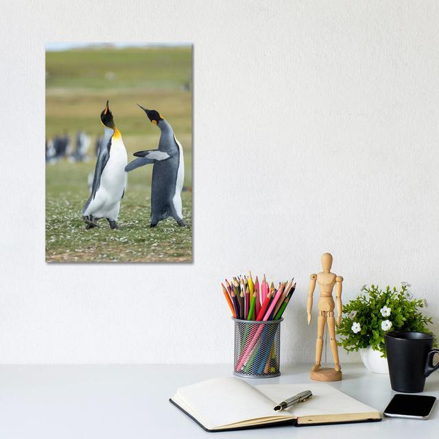 Courtship Display. King Penguin On Falkland Islands. by Martin Zwick - Wrapped Canvas Print Latitude Run Size: 30.48cm H x 20.32cm W x 1.91cm D on Productcaster.