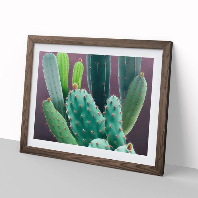 Wonderful Cactus - Picture Frame Graphic Art Natur Pur Size: 25cm H x 34cm W x 2cm D, Frame Colour: Walnut Framed on Productcaster.