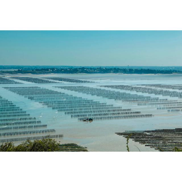 Oyster farming House of Hampton Size: 51cm H x 76cm W on Productcaster.