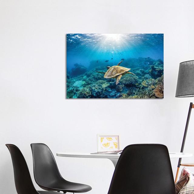 Reef Glider by Jordan Robins - Wrapped Canvas Photograph Pergo Classics Size: 66.04cm H x 101.6cm W x 1.91cm D on Productcaster.